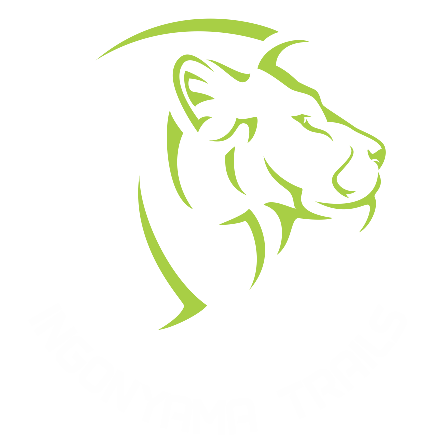 Ingonyama Trails